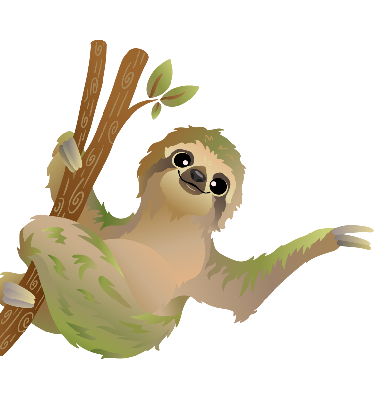 sloth